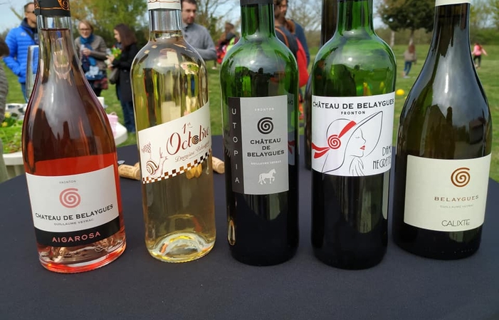 Descubrimiento de gustación de la Negrette (Frontó 18,00 €