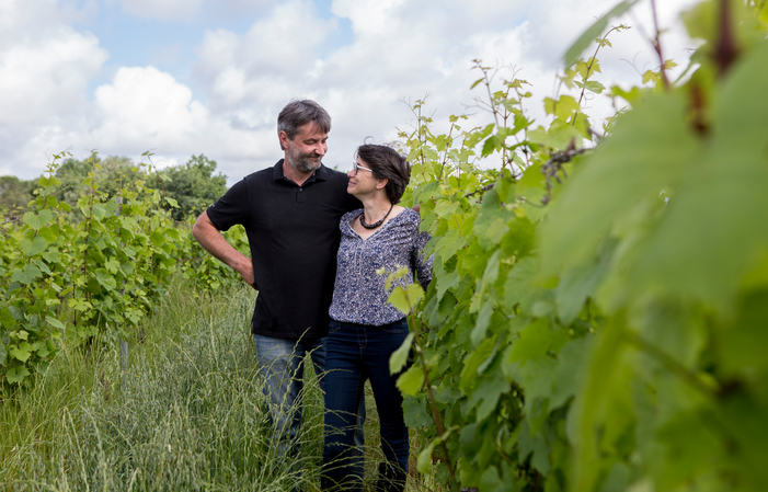 Descubrimiento de gustación de la Negrette (Frontó 18,00 €