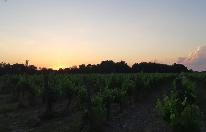 Visit and Tasting at Château Belaygues €1.00