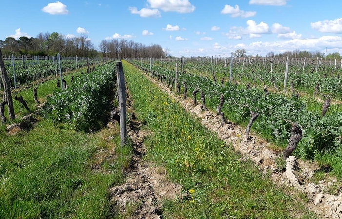 Visit and Tasting at Château Belaygues €1.00