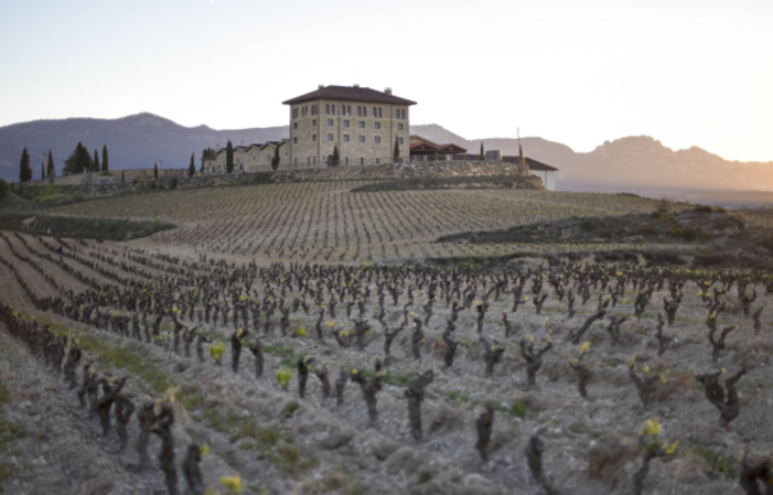 Picque-Nique in San Vincente - Hacienda Lopez De Haro €30.00