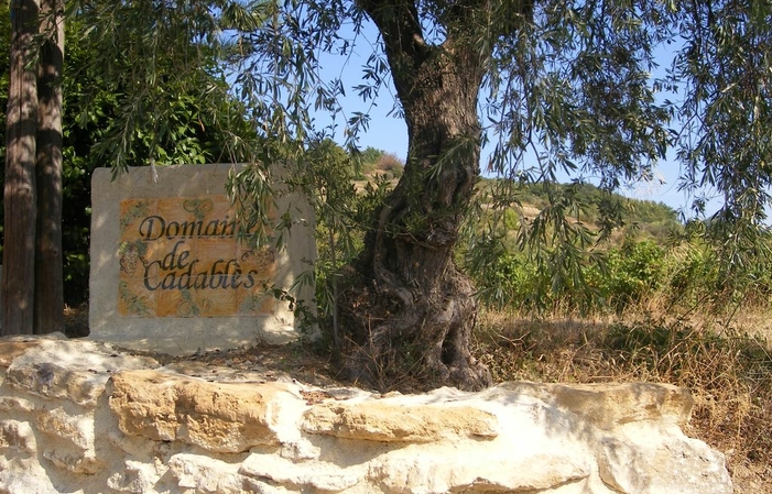 位于 Domaine de Cadablès 的迷人之家 €125.00