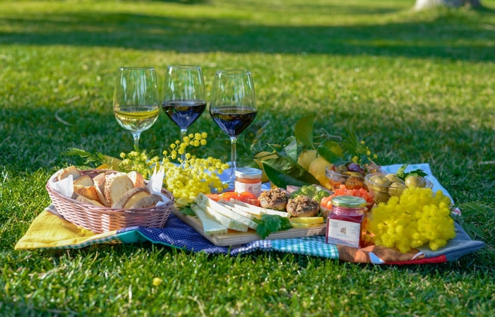 3- 野餐在草坪上与酒厂参观和品尝 €30.00