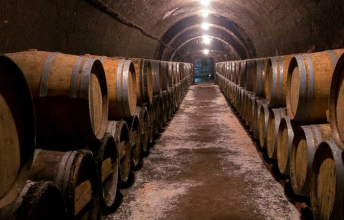 参观小图阿城堡 - 来自卢瓦尔河谷的葡萄酒 €1.00