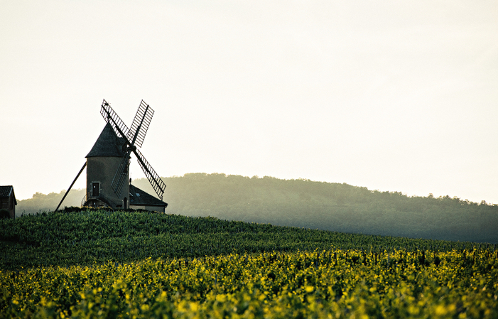 Château du Moulin-à-Vent，风土的历史！ €59.00