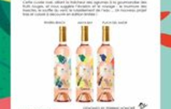 参观和品尝在莱斯卡雷尔城堡 €10.00