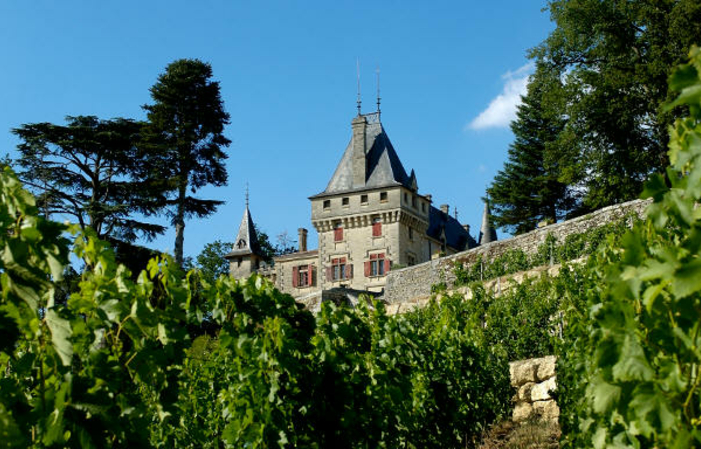 参观从Pressac城堡外的城堡及其庭院，参观酒窖，并解释酿酒过程 €25.00