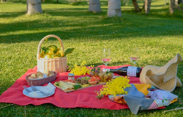 3- 野餐在草坪上与酒厂参观和品尝 €30.00