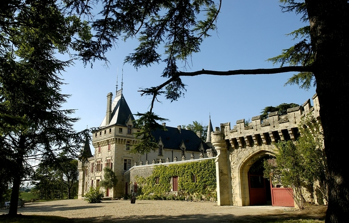 PRIVEE 之旅和品尝新闻城堡，圣埃米利翁大克鲁类® €75.00