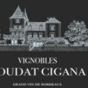 Boudat Cigana V.