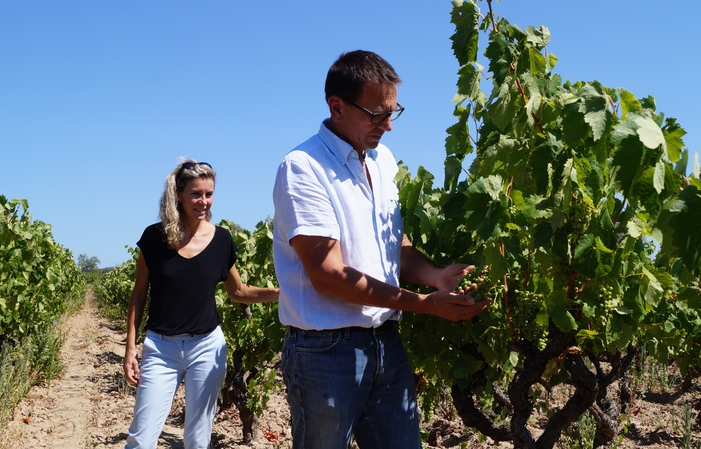 Camera Amandine, Clos de Vènes 89,00 €