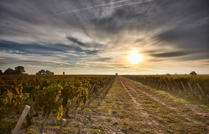 Selección de vinos de Burdeos: Château Pichon Longueville Comtesse de Lalande Gratis