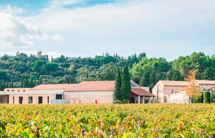 Venta directa, vinos de Château Mourgues du Grès 8,80 €