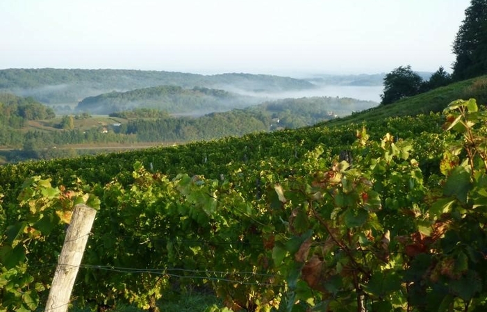Selección de vinos del Jura: Domaine Jacques Tissot Gratis