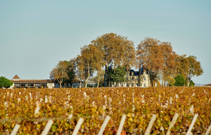 Selección de vinos de Burdeos: Château Pichon Longueville Comtesse de Lalande Gratis