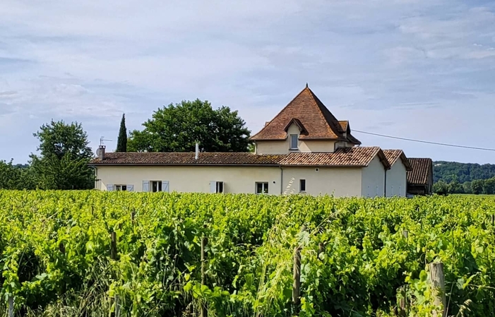 Selección de Burdeos: Château Les Cabannes Wines Gratis