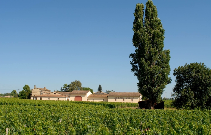 Selección de Burdeos: Château La Grave Figeac Wines Gratis
