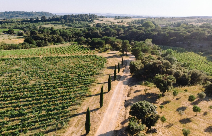 Degustación en la finca Cazaban 11,00 €