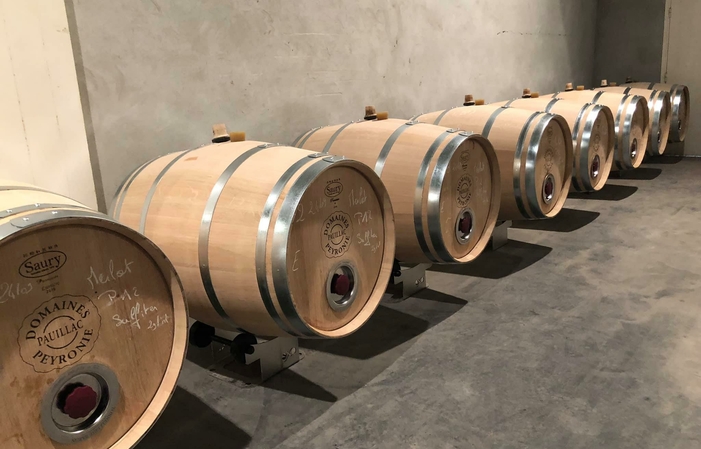 Selección de vinos Château Fonbadet Gratis