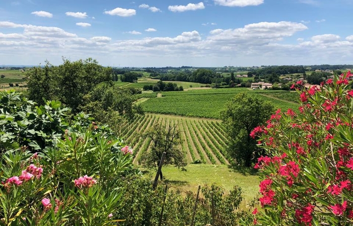 Visita y degustación en Château Puybarbe 1,00 €