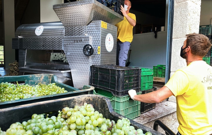 Visita a la Bodega Adega Algueira 10,00 €