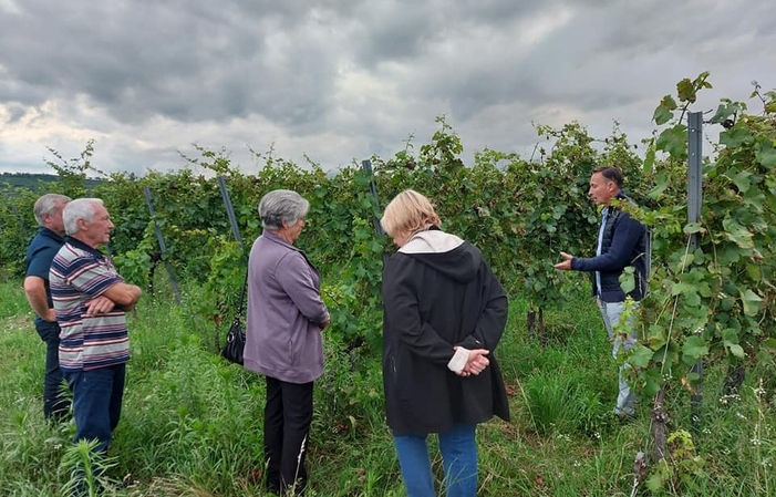 Visita y degustación en Domaine Fritz 1,00 €