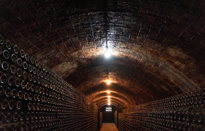 Visita y degustación: caminando entre los viñedos de Parés Baltà 22,50 €
