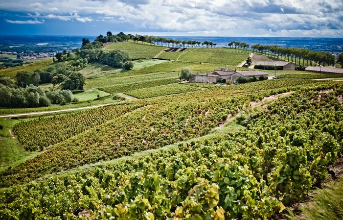 Visita y degustaciones en el Château de Poncié 49,00 €