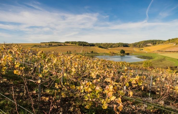 Visita y Degustación en el Domaine des Malandes 1,00 €