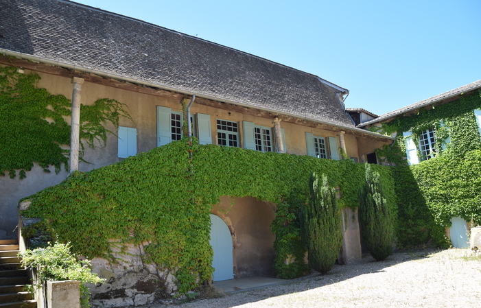 Picnic en los viñedos en el Château des Bachelards 30,00 €