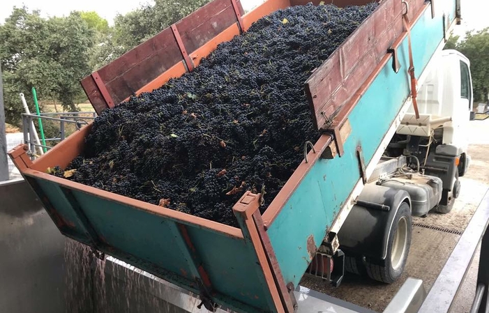 Visita y degustación en Domaine De Mas Caron 6,00 €