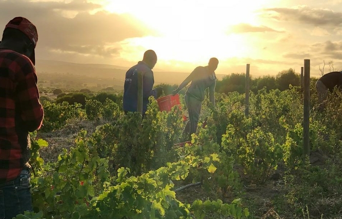 Visite la finca Springfontein 10,00 €