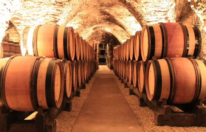 Visita y degustación de 5 vinos de Borgoña 20,00 €