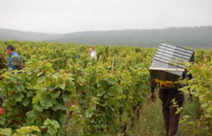 Visita y degustación en Domaine Philippe Charlopin 1,00 €