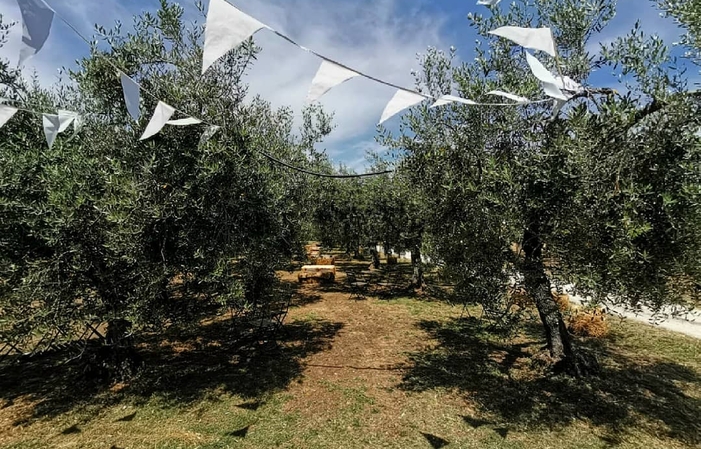 Visita y degustaciones en La Vinarte Azienda Agricola 1,00 €