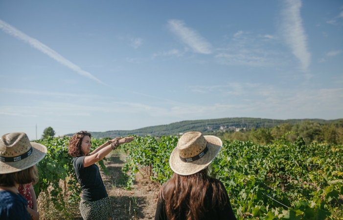 Visita y degustación: caminando entre los viñedos de Parés Baltà 22,50 €