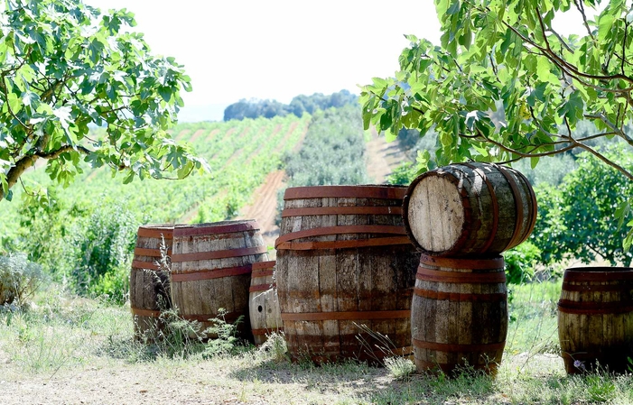 Visita y degustación en Domaine Sant'Armettu 1,00 €