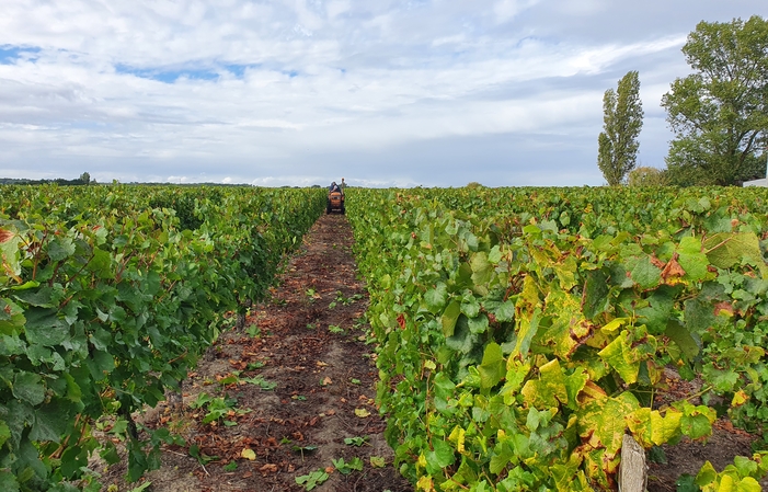 Visita y degustación en el Clos du Porteau 1,00 €