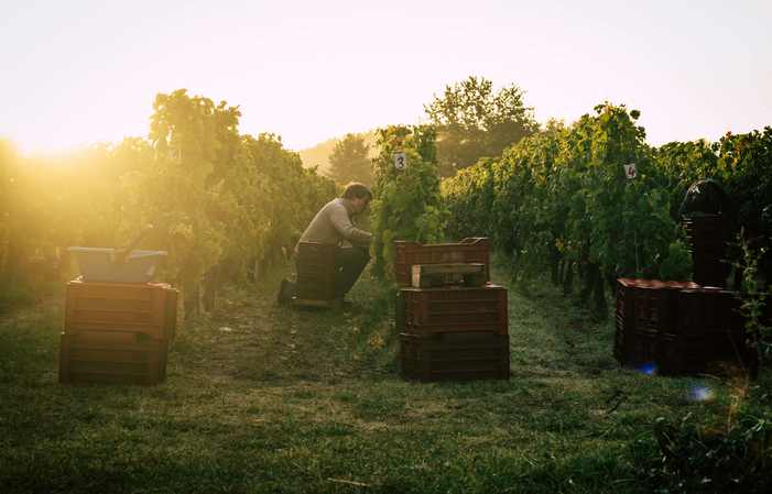 Visita y degustación del Castillo de Cagnac 1,00 €