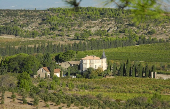 Visita y degustación en Château La Baronne 1,00 €