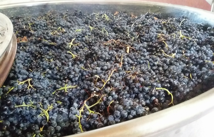 Visita y degustaciones del Domaine Des Favards 1,00 €