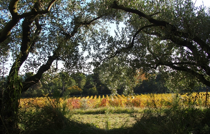 Vid de Apéro' en Château Mourgues du Grès 17,00 €