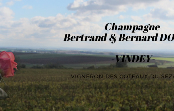 Visita a Domaine Champagne Bertrand y Bernard Doyard 1,00 €