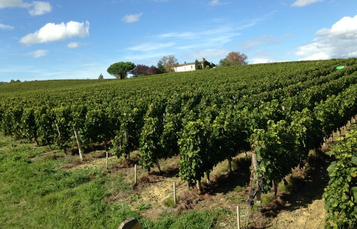 Visita y degustación en Château Martinat 1,00 €