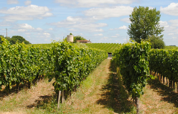 Visita y degustación en el Château Relais de la Poste 1,00 €