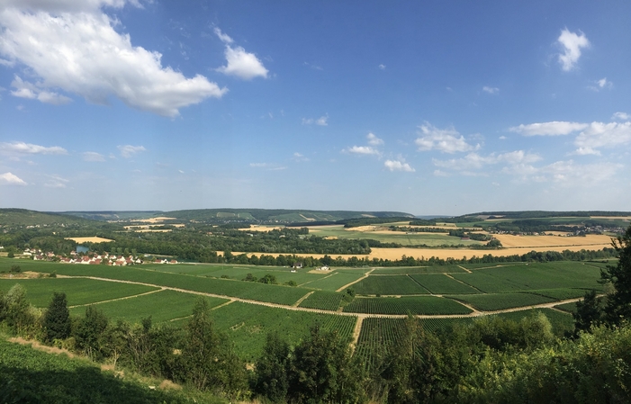 Visita y degustación en Domaine Philippe Dechelle 1,00 €