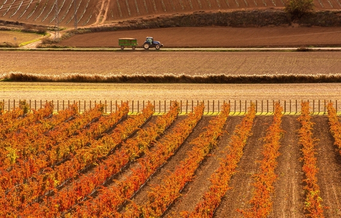 Visita la Finca Pago de Carraovejas 68,00 €