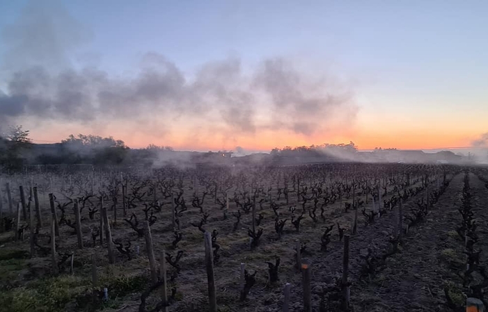 Visita y degustación en Domaine Lapierre 1,00 €