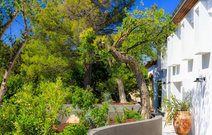 Visita y degustación en Domaine Figuière 1,00 €