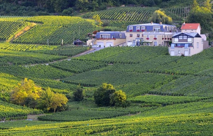 La pequeña visita a Domaine Champagne Voirin-Jumel 15,00 €